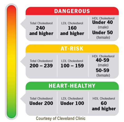 Cholesterol Myths